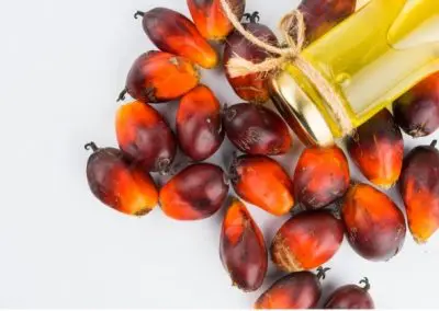 Pumps for Crude Palm Oil (CPO) Loading Process in the Palm Oil Industry