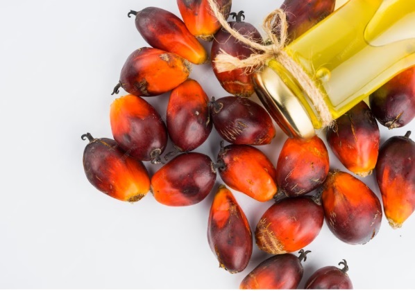 Pompa untuk Proses Pemuatan Crude Palm Oil