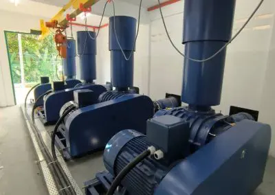 Roots Blowers Guide: Types and Function