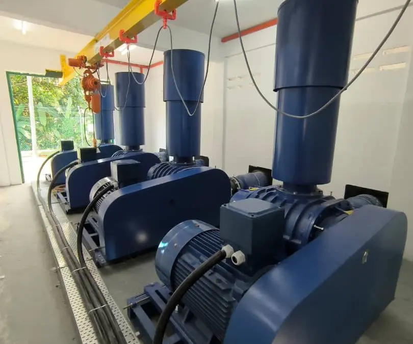 Roots Blowers Guide: Types and Function