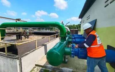 Applications of Roots Blowers in Various Industries