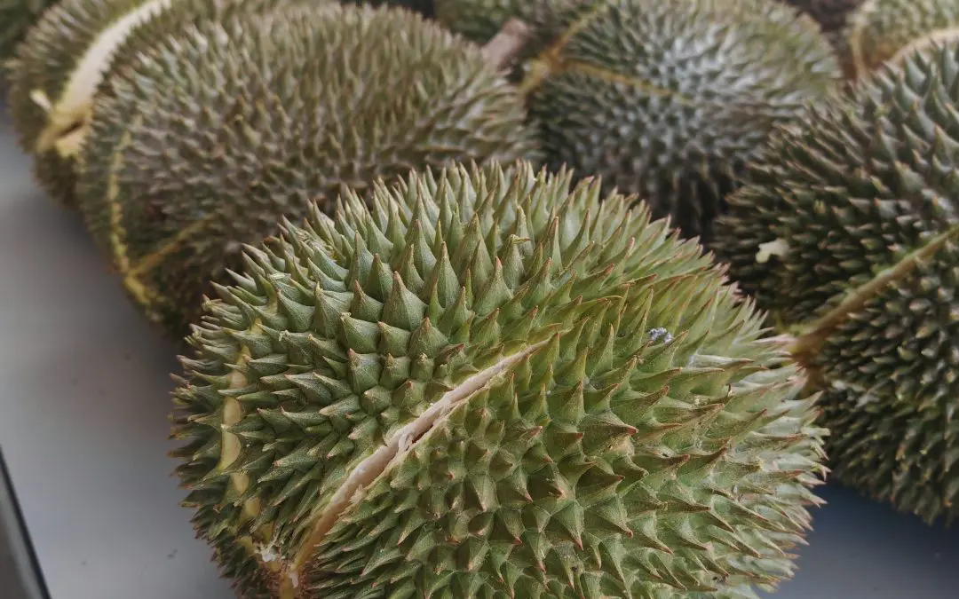 Winston Durian Fest
