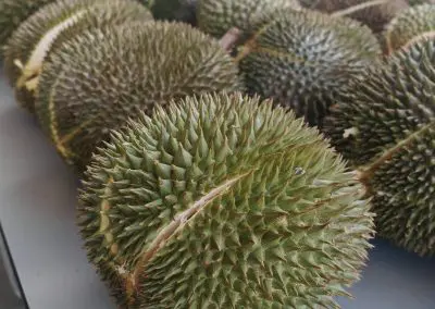 Winston Durian Fest