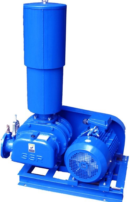 Roots Air Blower
