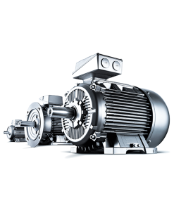 Standard AC Motor