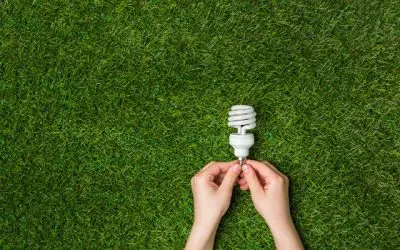 Understanding Singapore’s Energy Efficiency Grant (EEG)