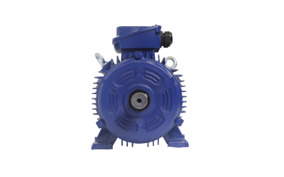 Why Induction Motors and AC Motors Are Widely Used in Industrial Applications