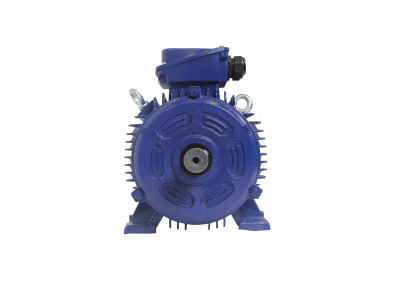 Why Induction Motors and AC Motors Are Widely Used in Industrial Applications