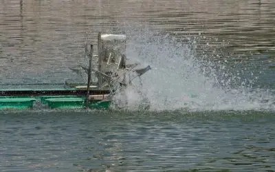 Surface vs Submersible Aerators: What Works in Our Climate