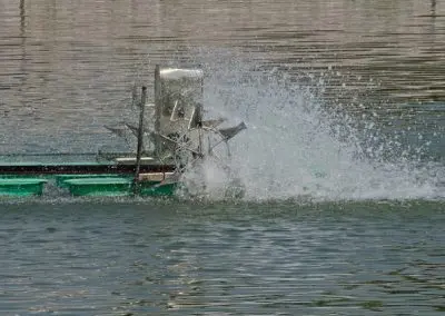 Surface vs Submersible Aerators: What Works in Our Climate