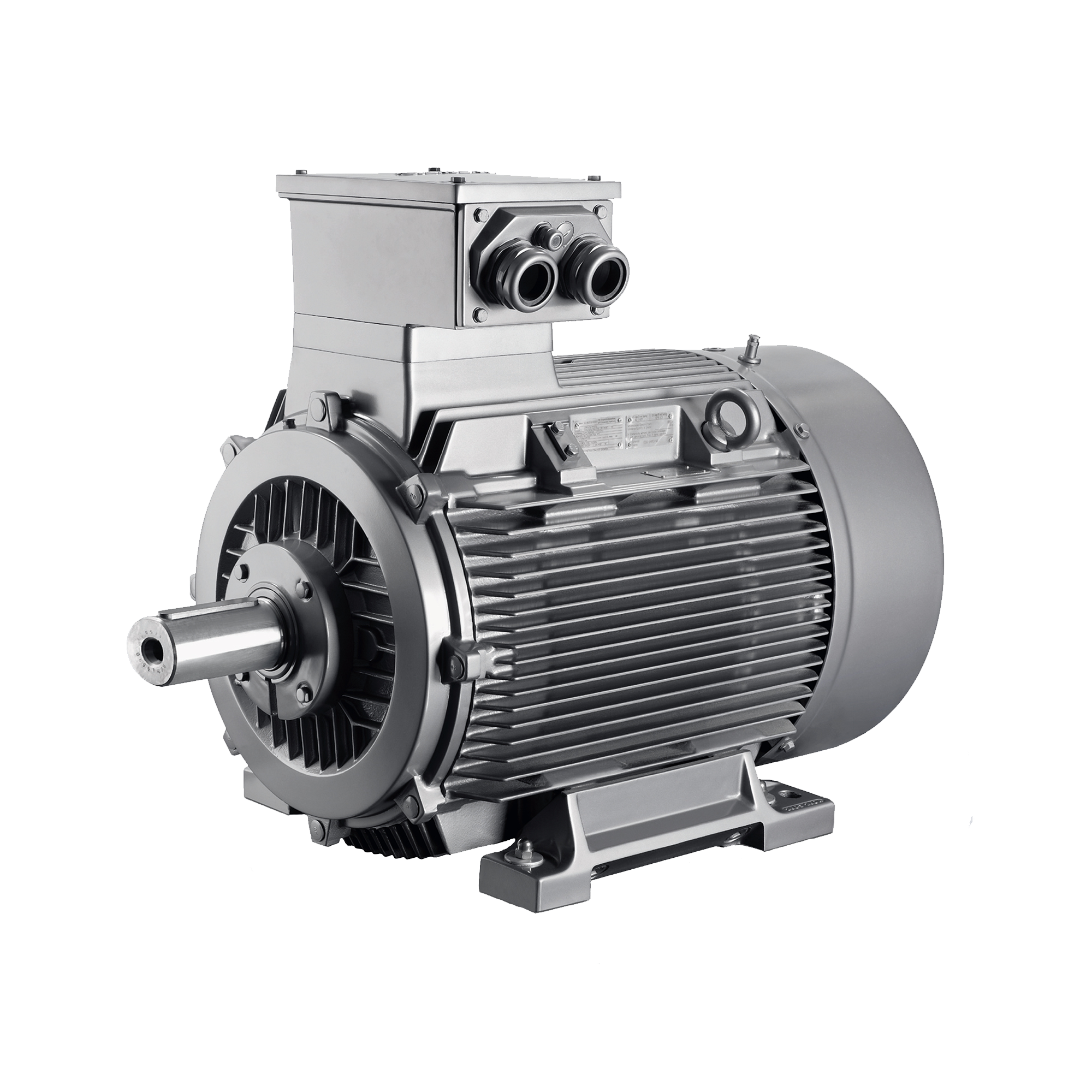 Explosion Proof Motor