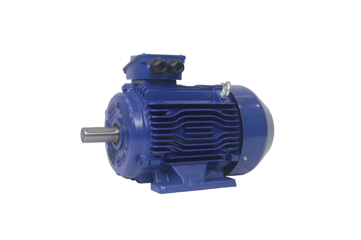 Induction Motor