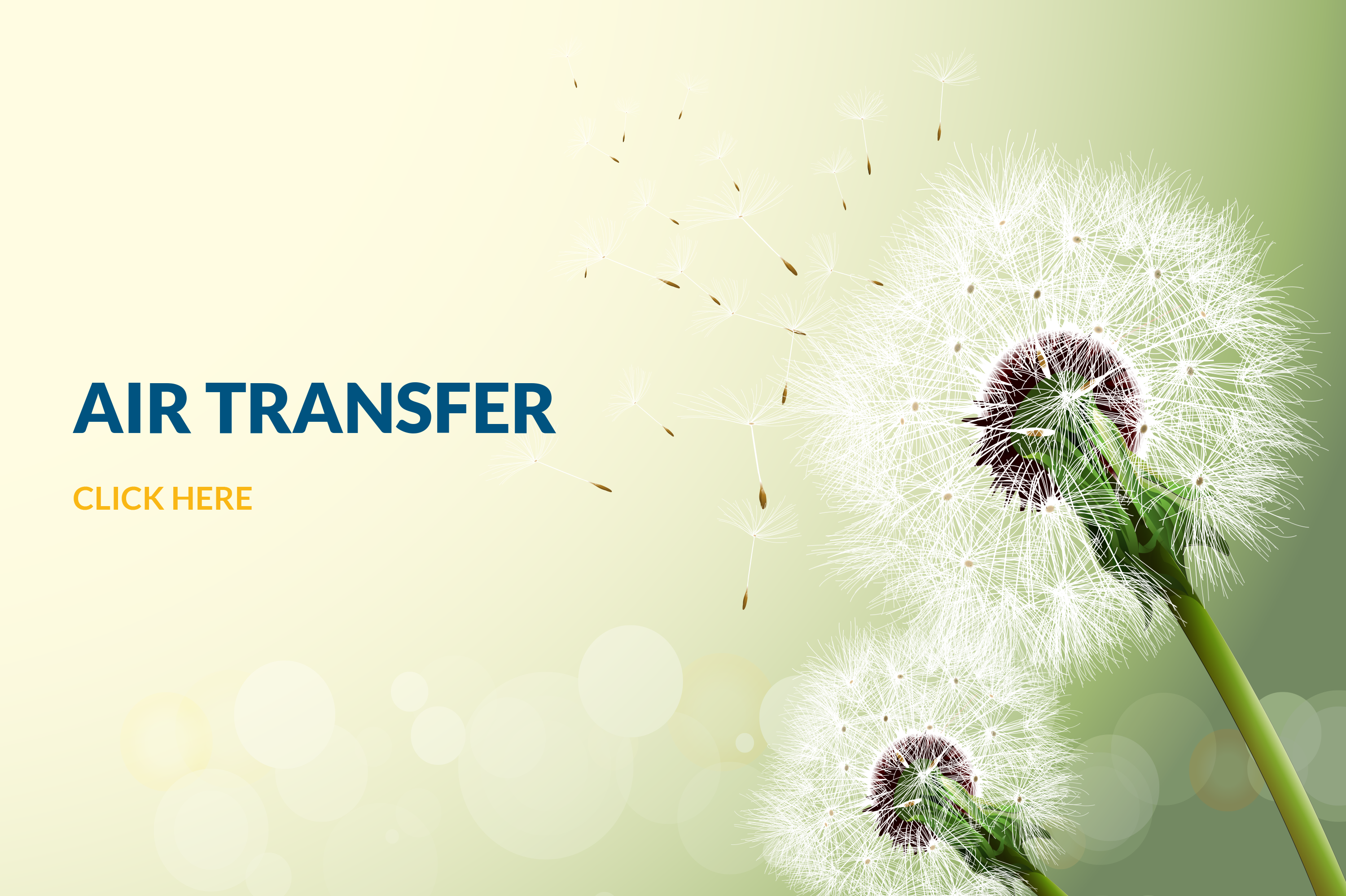 AIR-TRANSFER_2
