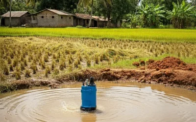 Why Choose Fujico Submersible Pumps in Sri Lanka?
