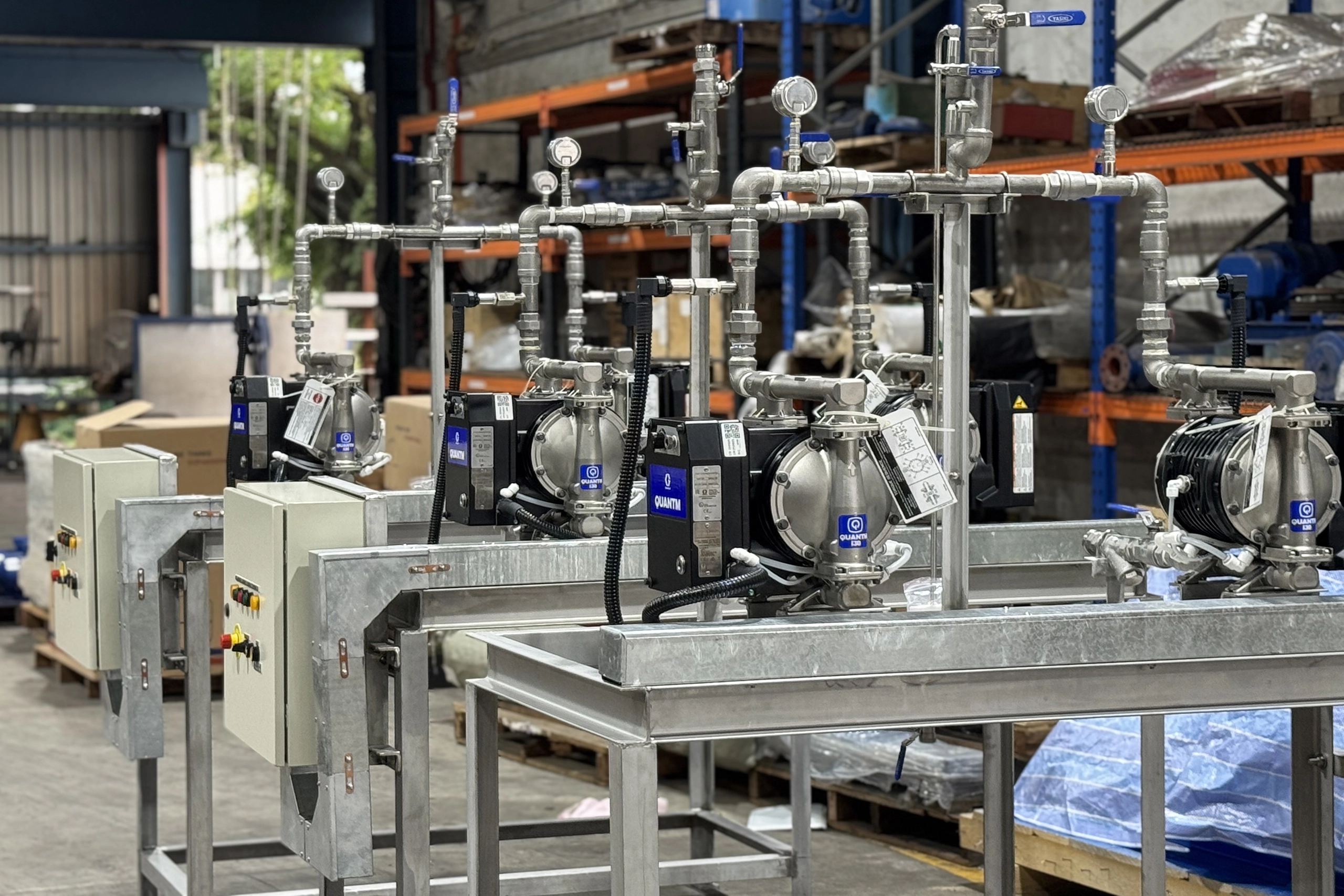 Electric and Air Diaphragm Pump Skid