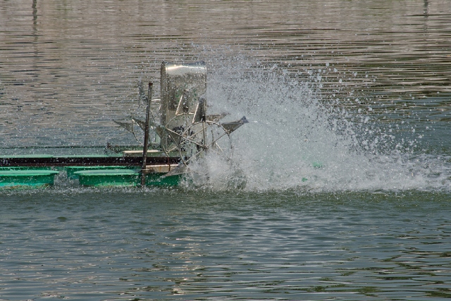 Surface vs Submersible Aerators: What Works in Our Climate Surface vs Submersible Aerators: What Works in Our Climate