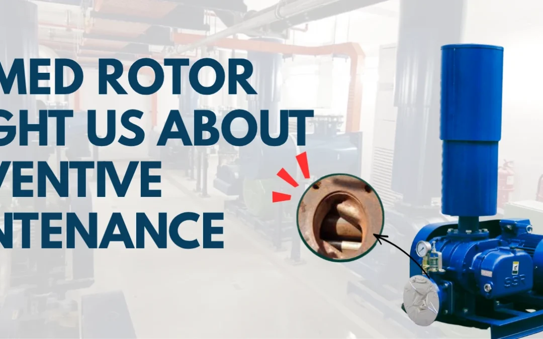 Case Study: Why Water Ingress and Skipped Maintenance Cause Rotor Damage
