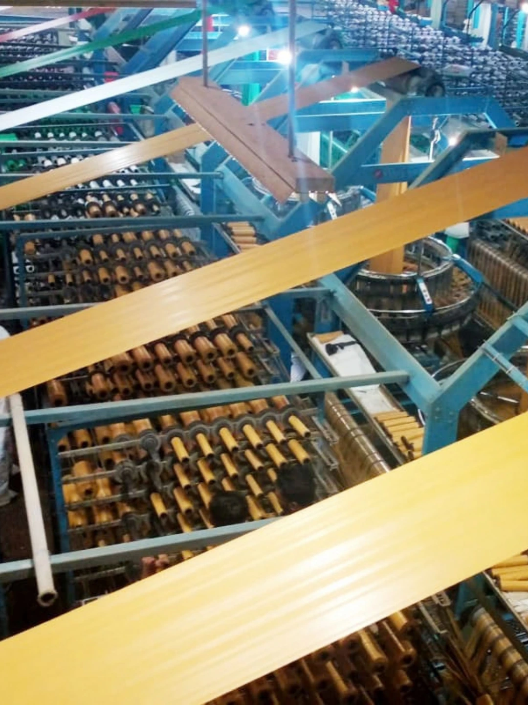 Printing & Packaging