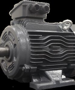Induction Motor
